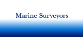 Marine Surveyor
